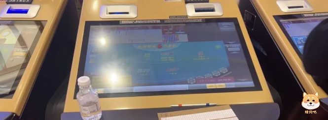 职业赌徒一眼看穿电子百家乐漏洞,利用规则漏洞逆转赌场优势赚取高额利润。