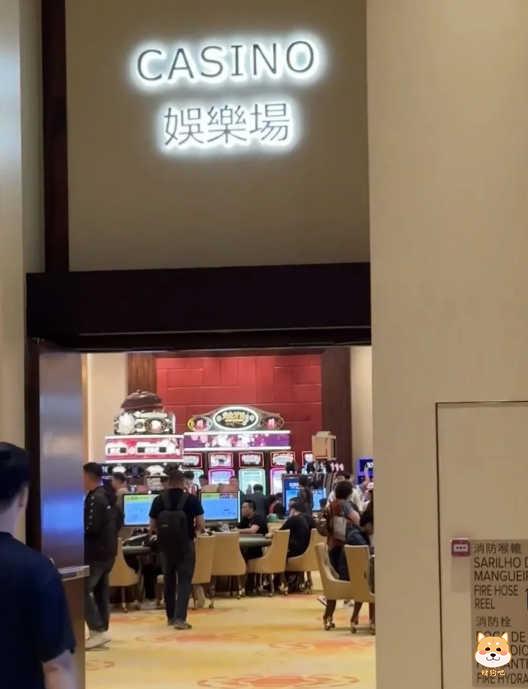 职业赌徒一眼看穿电子百家乐漏洞,利用规则漏洞逆转赌场优势赚取高额利润。